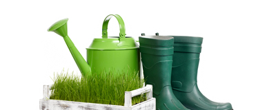 Protección y vestuario